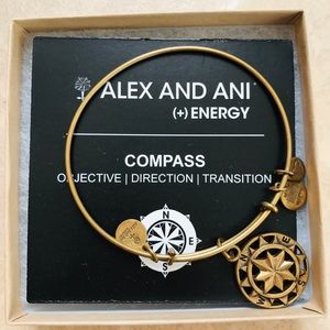 Alex and ani bracelet- compass